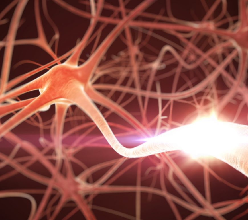 Epilepsie – Das elektrische Gewitter im Gehirn